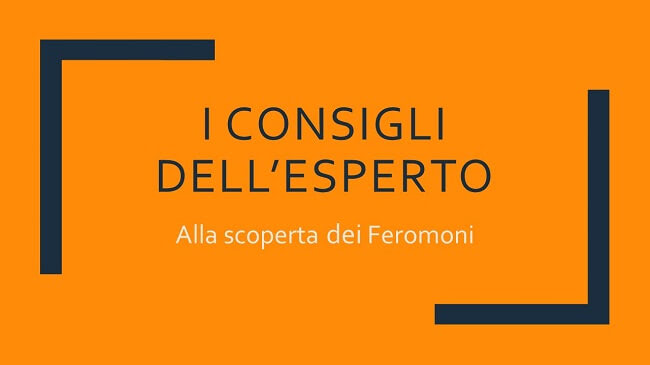 Alla scoperta dei feromoni