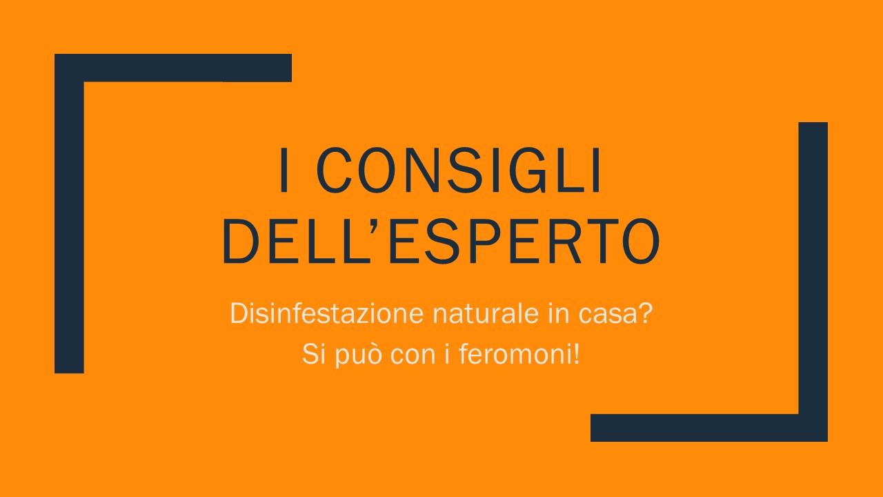 Disinfestazione naturale in casa? Si può con i feromoni!