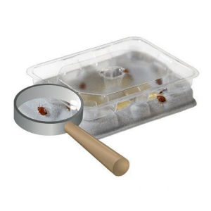 Trappola per cimici dei letti BDS-SLDR96 Slider™ Bedbug Monitor