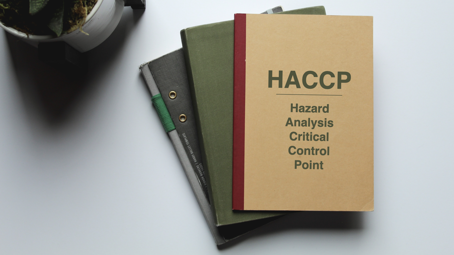 Manuale autocontrollo HACCP